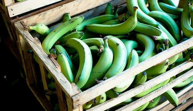 eine Kiste voller Bananen!