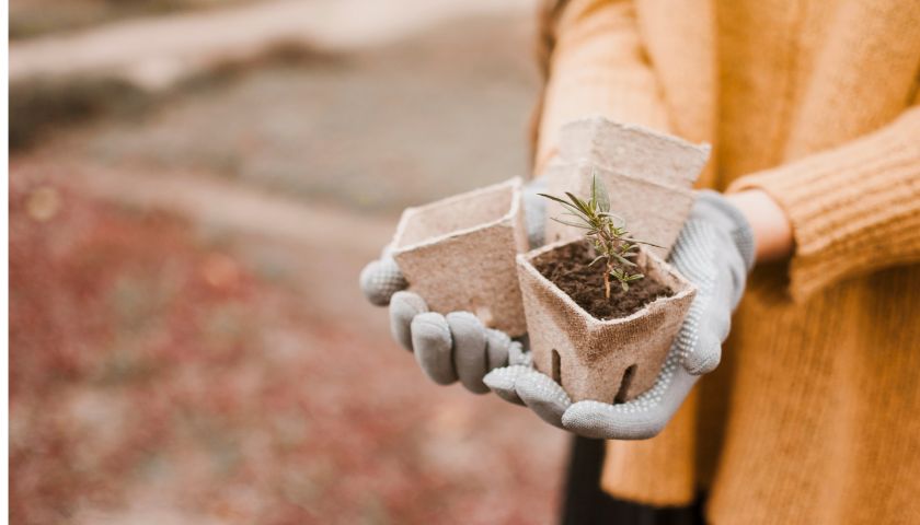 Za uzgoj biljaka ne treba imati prethodno iskustvo većs amo malo dobre volje. 