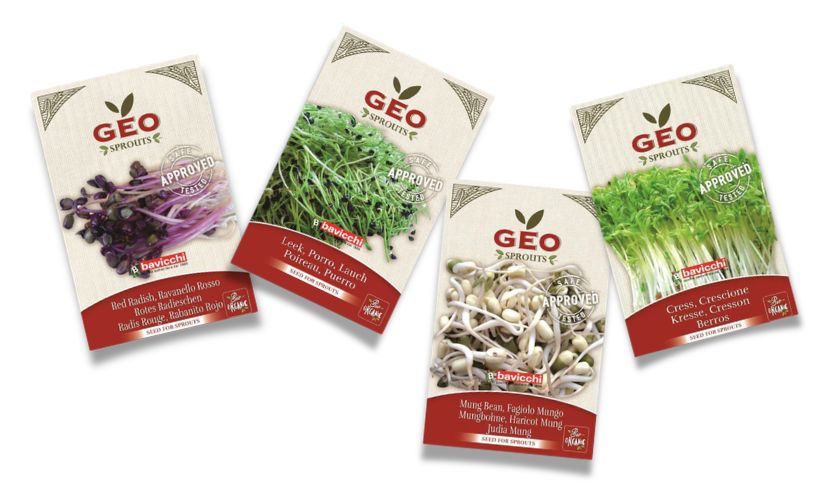 Klice iz sjmenki lako se mogu uzgojiti i u vanjskom i u unutarnjem prostoru. 