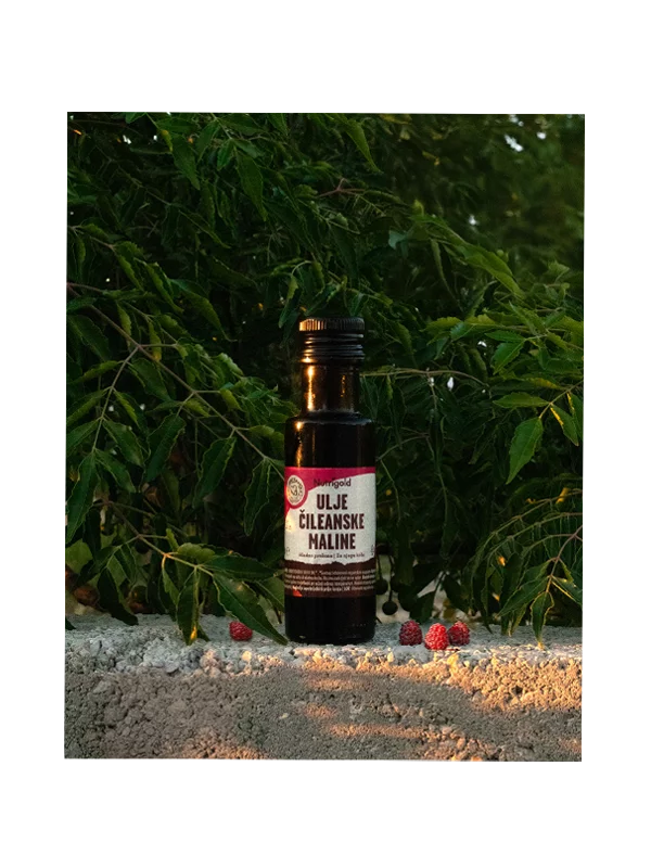 Chilenisches Himbeersamenöl – Biologisch 100ml Nutrigold