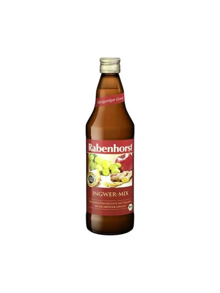 Rabenhorst Saft-Ingwer-Mix - Biologisch in einer 750ml Flasche