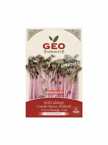 Geo Rotkohlsamen zum Keimen – Biologisch in einer 12g Packung