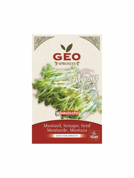 Geo Senfkörner zum Keimen – Biologisch in der 50g Packung