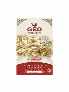 Geo Bockshornkleesamen zum Keimen – Biologisch in einer 35g Packung