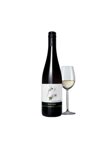 Wein Rheinriesling 2019 - Biologisch 0,75l Bolfan