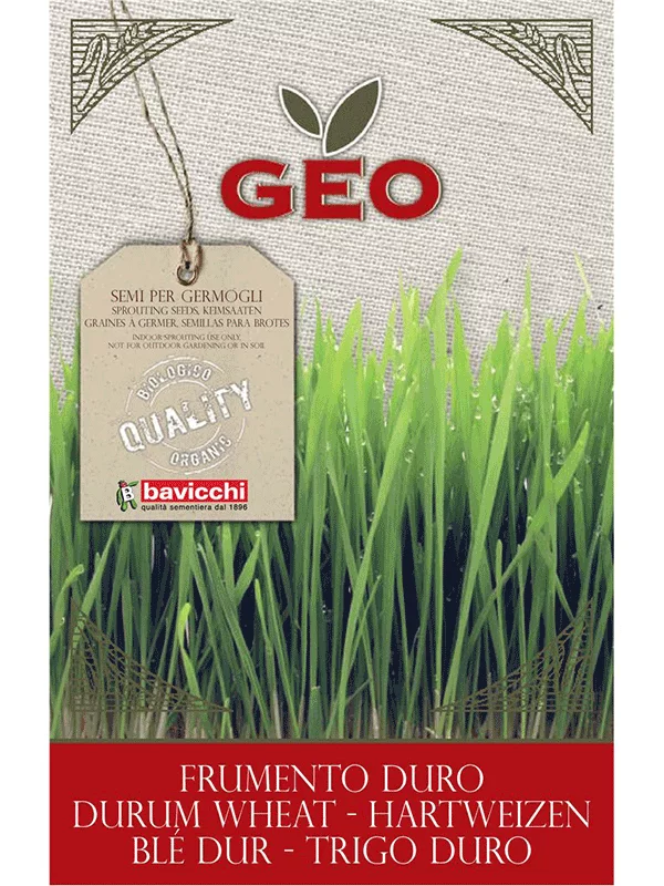 Geo Weizensamen zum Keimen – Bio in einer 600g Packung