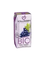 Höllinger Roter Traubensaft mit Strohhalm - Biologisch in einem 200ml Tetrapak