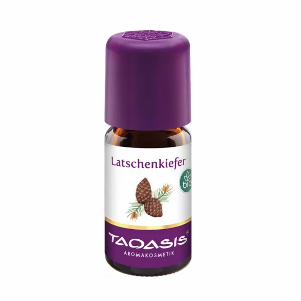 Latschenkiefer Bio – Ätherisches Öl 5ml Taoasis