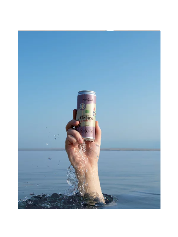 Kombucha Waldbeere - Biologisch 330ml Nutrigold