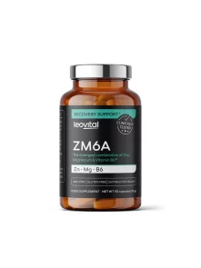 Levovital ZM6A mit 90 Kapseln in der Packung