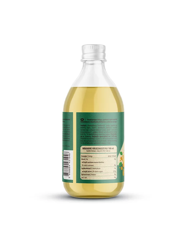 Nutrigold Kombucha Mango - Biologisch in einer 330 Milliliter Packung