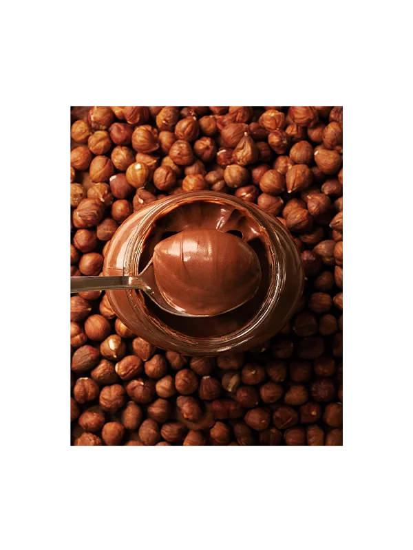 Nutritella Haselnussaufstrich – Bio 400g Nutrigold