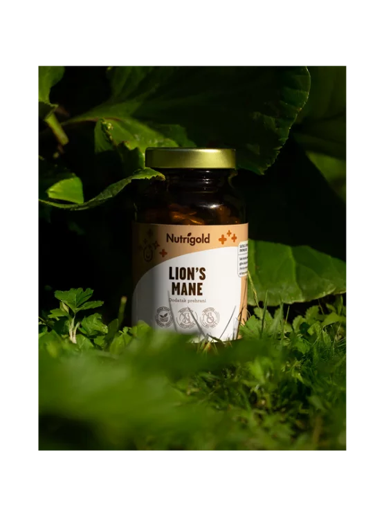 Nutrigold Löwenmähne (Lion’s Mane) 500mg mit 90 Kapseln in der Packung