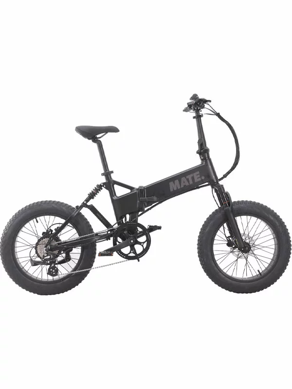 Mate X Evo 250W - Subdued Black