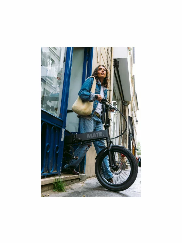 Mate X Evo 250W - Subdued Black