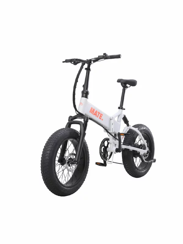 Mate X Evo 250W – Ghost Gravity