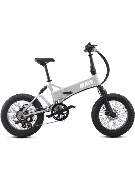 Mate X Evo 250W – Silver Comet