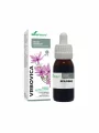 Soria Natural Weidenröschen-Extrakt in einer 50ml Glasflasche mit Tropfer