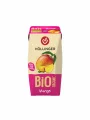 Hollinger Mangosaft im Tetrapack mit Strohhalm – Bio 200ml