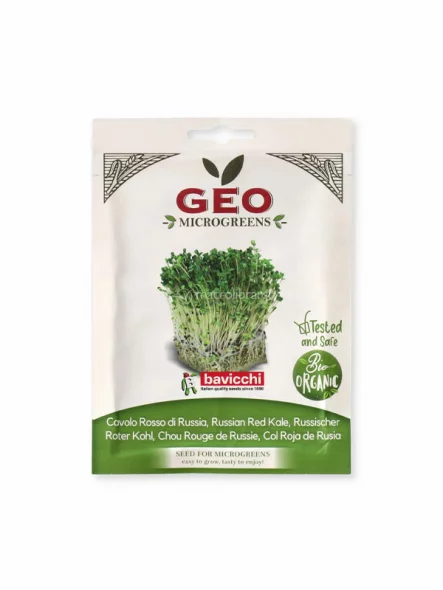 Rotkohl Samen zum Keimen – Bio 12g Geo
