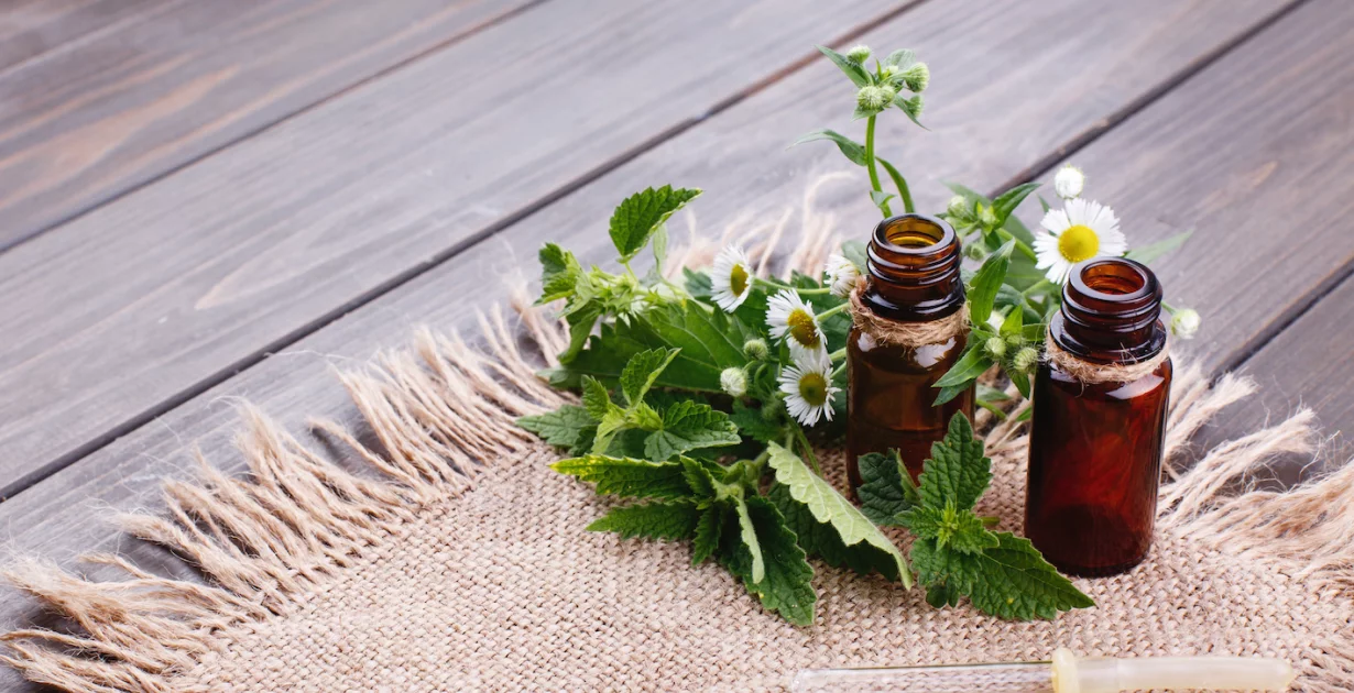 4 natürliche Hausmittel mit antibakteriellen Eigenschaften!