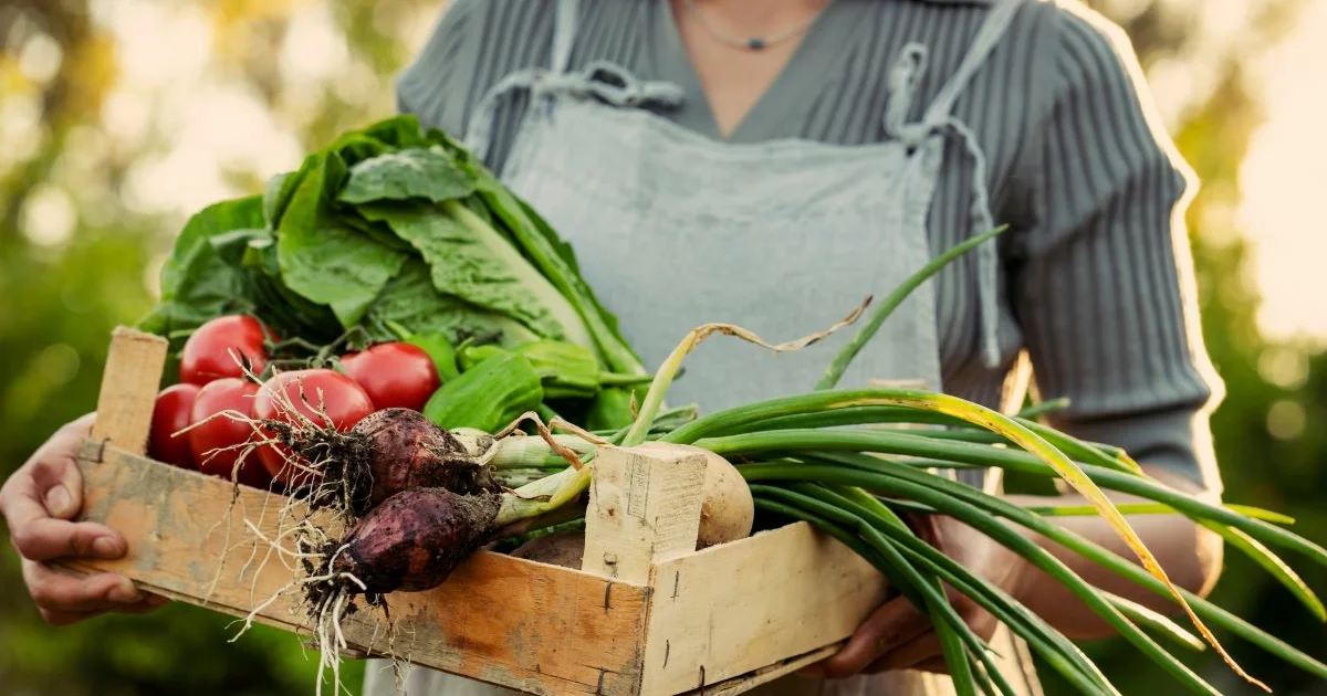 Frühlingslebensmittel