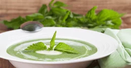 Cremige Brennnesselsuppe – die grüne Kraft aus der Natur im Teller