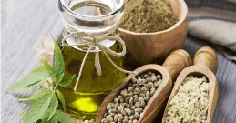 Kreative Rezepte mit Hanf