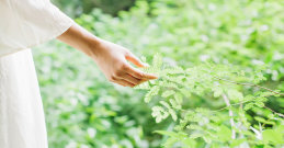 Frau in der Natur