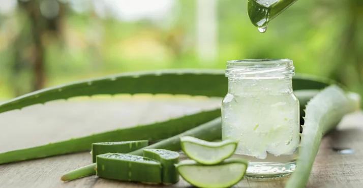 Aloe Vera fr Verdauung, Haut, Haare & Zhne  Wirkung & Anwendung im  berblick
