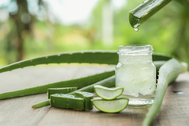 Aloe Vera fr Verdauung, Haut, Haare & Zhne  Wirkung & Anwendung im  berblick