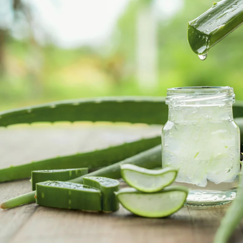 Aloe Vera fr Verdauung, Haut, Haare & Zhne  Wirkung & Anwendung im  berblick