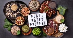 Die besten pflanzlichen Proteinquellen – Vielseitige Alternativen zu Fleisch