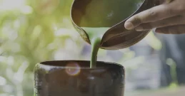 Haarausfall – so unterstützen Sie Ihr Haar mit der Kraft der Natur!