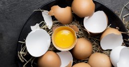 Eier
