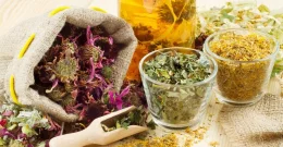 Traditionelle ayurvedische Teemischungen für bewusste Genussmomente!