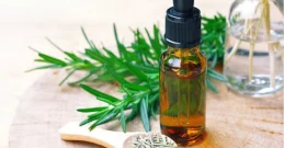 Eterisches Rosmarinöl – Natürliche Hilfe für Haare und Blutzirkulation