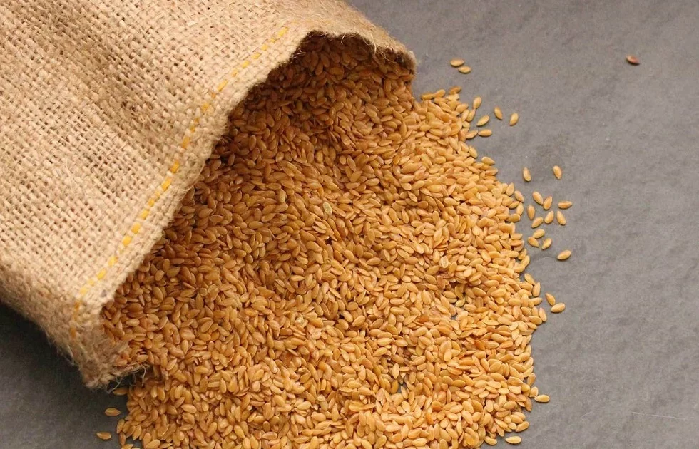 Goldene Leinsamen – Superfood! Goldene Leinsamen