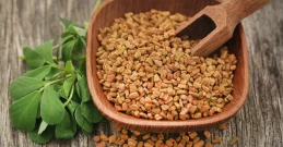 Bockshornkleesamen – Natürlich gegen Diabetes und Cholesterin