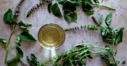 Tulsi Tee & Pulver – harmonisierende Kräuter für Körper und Geist