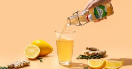 Kombucha auf verschiedene Arten zubereitet in 3 Glasbechern