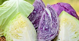 Kohl essen und gesund bleiben – einfach, lecker, nährstoffreich