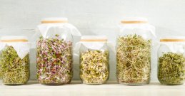 Sprossen – Was macht sie so kraftvoll und gesund?