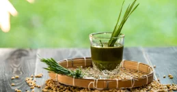 Weizengras – Für eine gesunde Schilddrüse, reines Blut und bessere Verdauung
