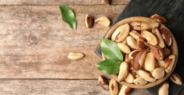 Paranuss – der nährstoffreiche Snack aus dem Regenwald