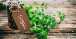 Oreganoöl in einer Flasche mit frischen Oregano daneben