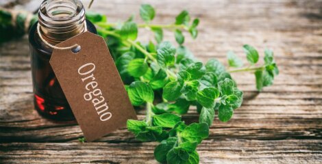 Oreganoöl in einer Flasche mit frischen Oregano daneben
