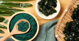 Spirulina enthüllt: Antworten auf die wichtigsten Fragen zur Superalge