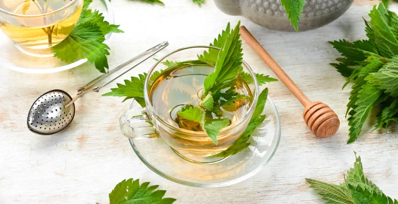 Brennnesseltee in einer Glastasse mit einigen Brennnesselblättern