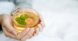 In der Hand eine Tasse Frauenmanteltee